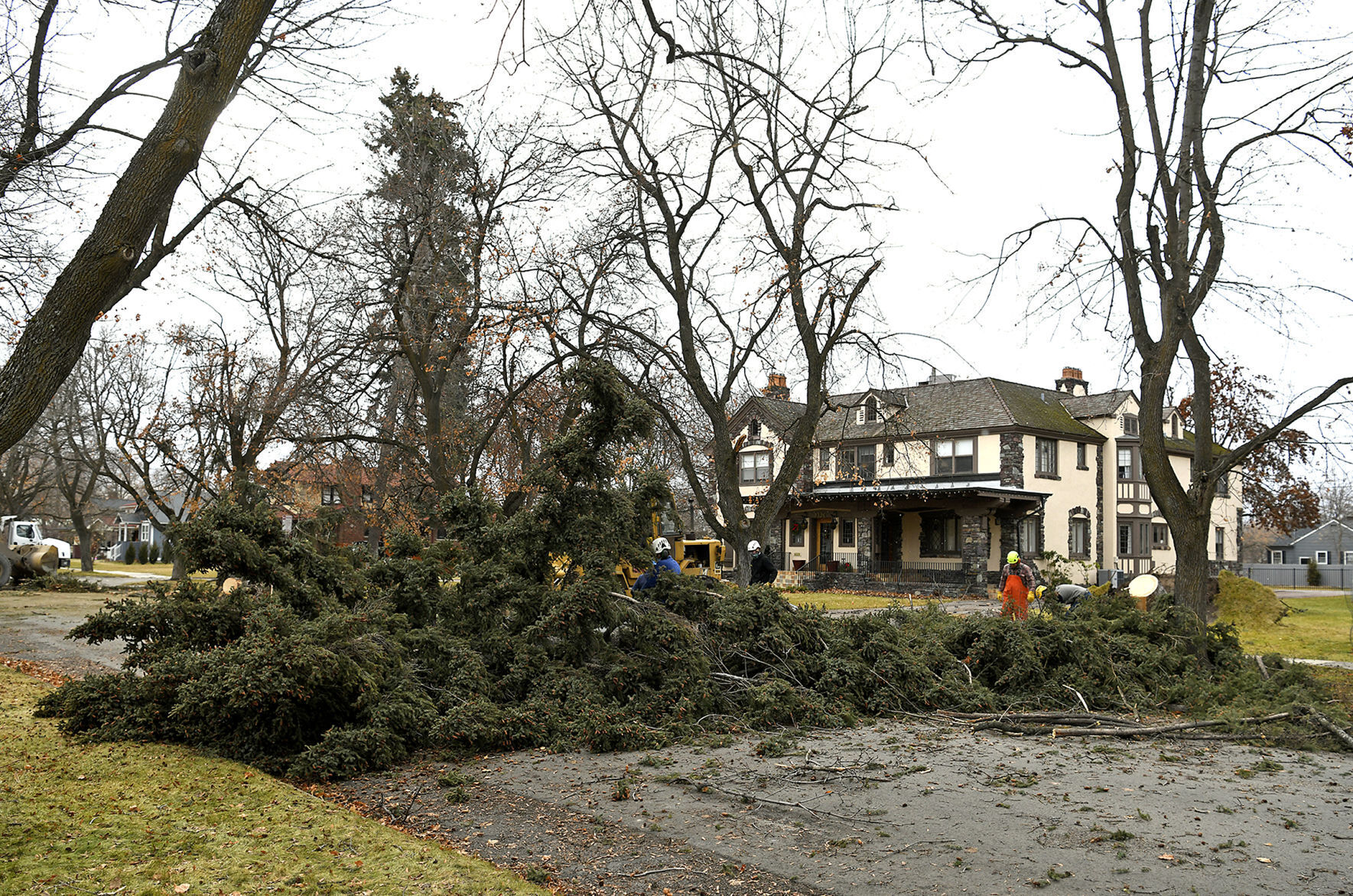 Windstorm in Missoula 17